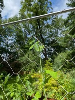 Chicken Wire Pea Trellis -Garden Decor Store 8612718 7311