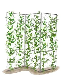 Chicken Wire Pea Trellis -Garden Decor Store 8612718 peatrellis art chicken wire pea trellis