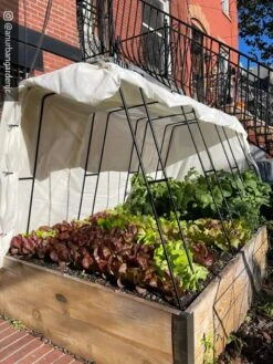 Cotton All Purpose Garden Cover -Garden Decor Store 8612816 01CUST