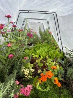 All-Purpose Garden Fabric -Garden Decor Store 8612816 01TEST