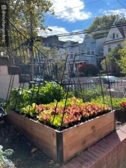 Zenith Garden Hoops, Set Of 4 -Garden Decor Store 8612816 02CUST