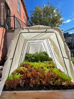 Cotton All Purpose Garden Cover -Garden Decor Store 8612816 03CUST