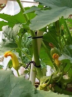 Farmyarn® Multipurpose Garden Tie, 2 Pack -Garden Decor Store 8612948 01v