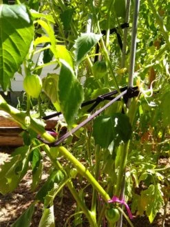 Farmyarn® Multipurpose Garden Tie, 2 Pack -Garden Decor Store 8612948 02v