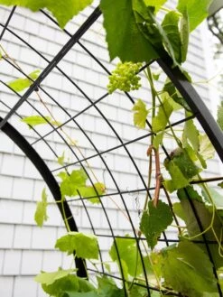 2’ X 4’ Arch Trellis For Planter Boxes -Garden Decor Store 8612976 0436