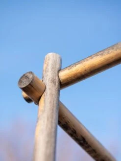 Tomato Six Pack Support -Garden Decor Store 8613143 0385 3