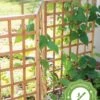 Bamboo Zig-Zag Trellis 24" X 36" -Garden Decor Store 8613151 15