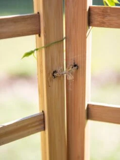 Bamboo Zig-Zag Trellis 24" X 36" -Garden Decor Store 8613151 6483