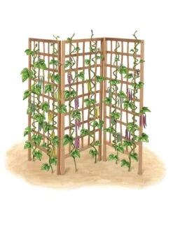 Bamboo Zig-Zag Trellis 24" X 36" -Garden Decor Store 8613151 art flat