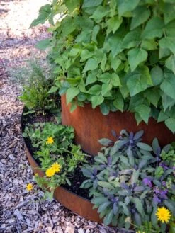 Birdies™ Corten Steel Tiered Round Raised Bed Kit, Tall -Garden Decor Store 8613245 0195