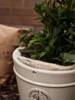 Hortiwool ®, 5 Pad Pack -Garden Decor Store 8613263 17v