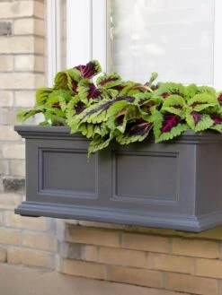 Fairfield Self-Watering Window Box, 2’ -Garden Decor Store 8613268 08V tif