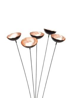 Copper Poppy Sways, Set Of 5 -Garden Decor Store 8613342 9215