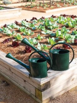 Long Reach Watering Can, Large -Garden Decor Store 8613346 0148 1