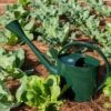 Long Reach Watering Can, Large 1 Long Reach Watering Can, Large -Garden Decor Store 8613346 0149