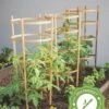 Bamboo Tomato Cages, Set Of 3 -Garden Decor Store 8613426 7