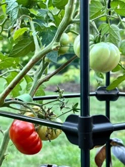 Oasis Self-Watering Tomato Planter With Trellis -Garden Decor Store 8613440 01TEST