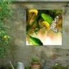 Butterfly Kiss Outdoor Wall Art -Garden Decor Store 8613998 02V butterfly kiss outdoor wall art