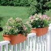 2' X 4' Railing Planter, 25" -Garden Decor Store GS34336 01 24 inch 2x6 railing planters