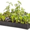 Grow Bed Extension Kit 1 Grow Bed Extension Kit -Garden Decor Store GS37503 01 tif