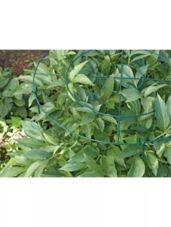 Grow Through Supports, Set Of 3 -Garden Decor Store GS40172 01 1