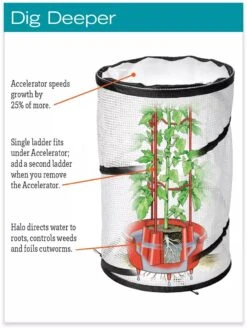 Tomato TLC Kits, Set Of 3 -Garden Decor Store hiw 8594214 jpg